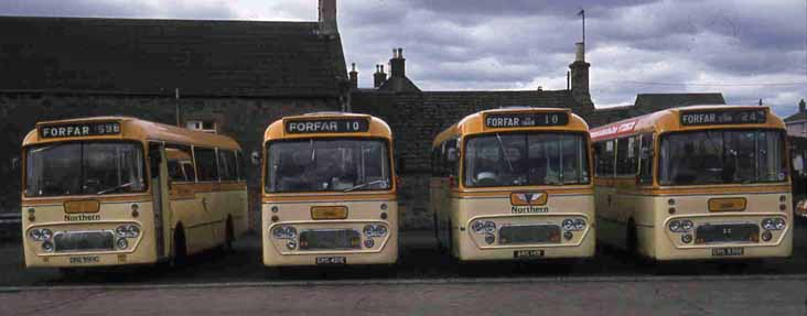 Alexander Northern Y type Albion Viking NNV10, AEC Reliance NAC243, Vikings NNV21 & NNV36